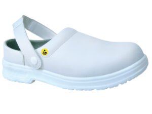 PIGEON SB AE FO SRC ESD